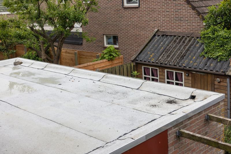 Roof Hole Patching