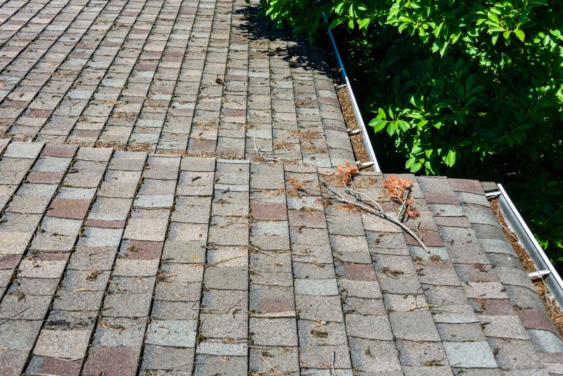 Shingle Cleaning and Maintenance