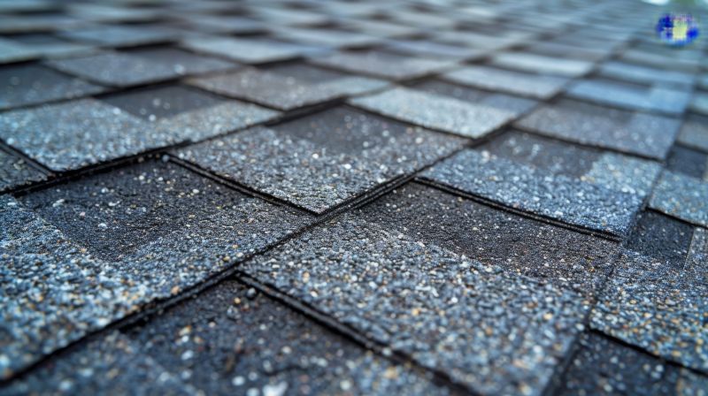 Common Signs You Need Asphalt Shingle Roof Repair