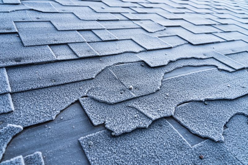 Extends the lifespan of the entire roof system.