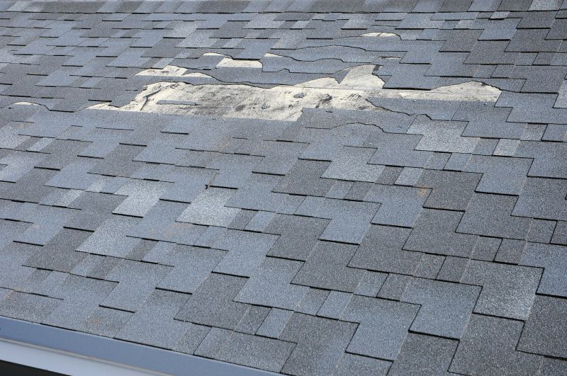 Roof Hole Patching - Roof Hole Patching Linden, Michigan